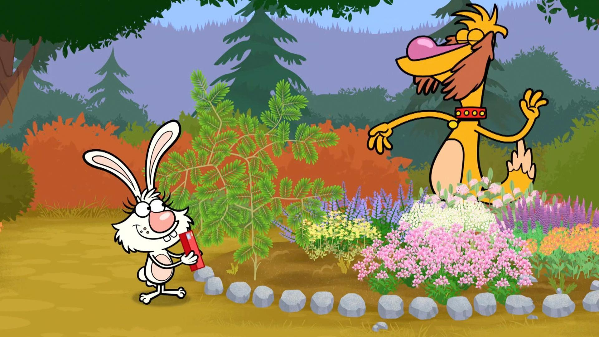 Daisy needs to find another science project to exhibit at the Animal Science Fair.