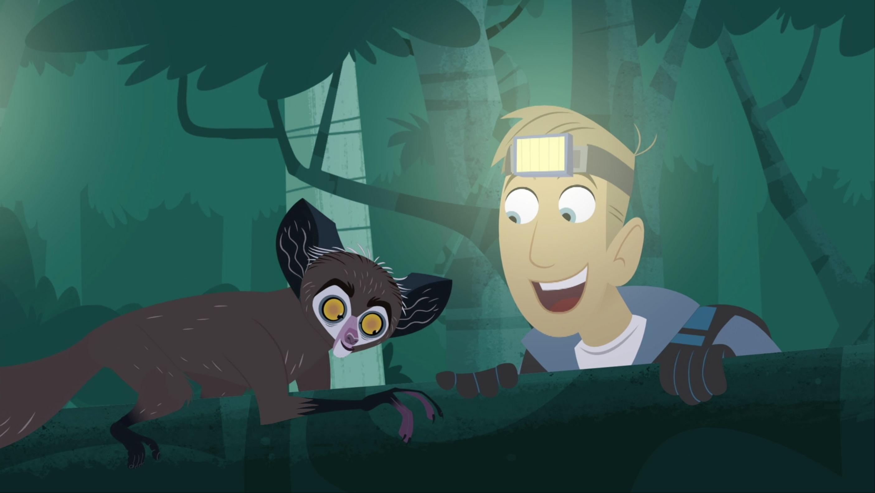 After a storm out at sea, the Kratt brothers find a stranded aye aye.